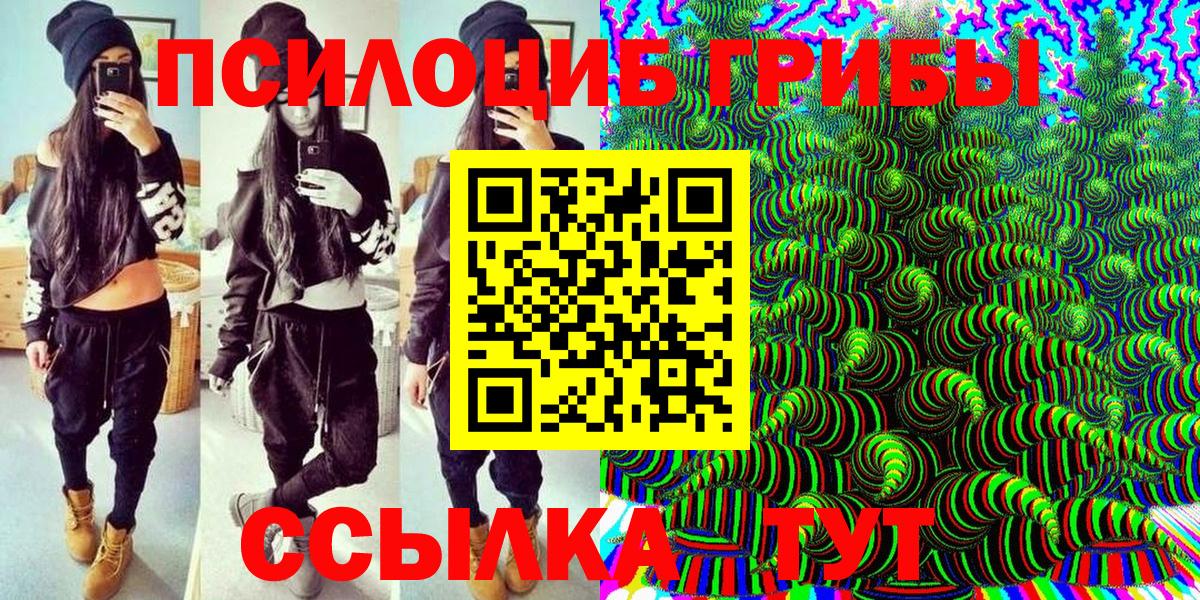где купить наркоту  Вход с VPN  Краснодар  Галлюциногенные грибы мицелий  Псилоцибиновые грибы Psilocybine cubensis 